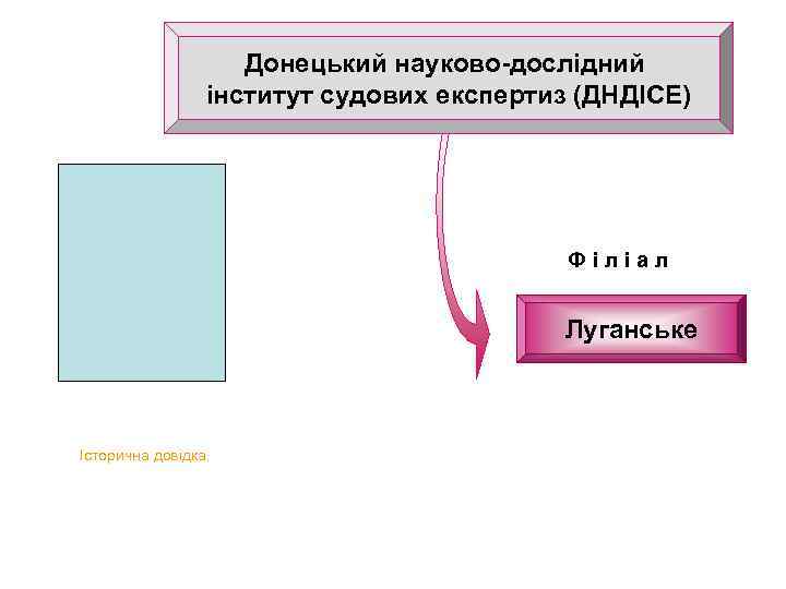 Донецький науково-дослідний інститут судових експертиз (ДНДІСЕ) Філіал Луганське Історична довідка. 