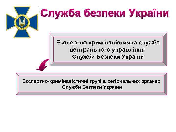 Експертно-криміналістична служба центрального управління Служби Безпеки України Експертно-криміналістичні групі в регіональних органах Служби Безпеки