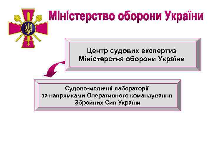 Центр судових експертиз Міністерства оборони України Судово-медичні лабораторії за напрямками Оперативного командування Збройних Сил