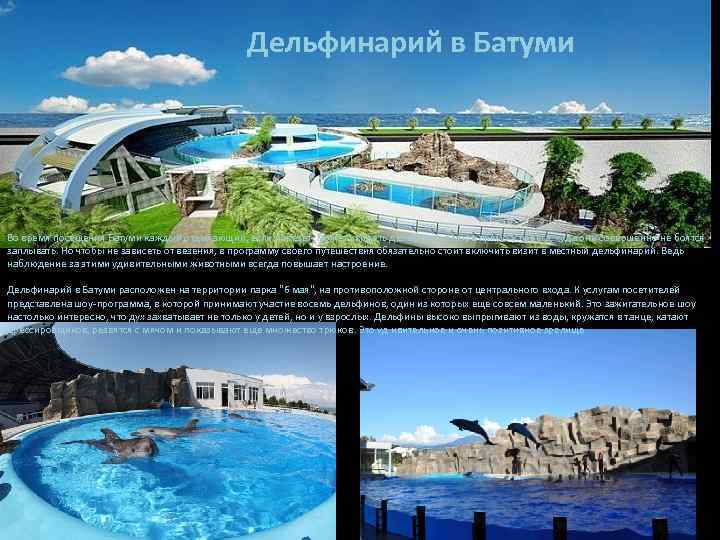 Дельфинарий в Батуми Во время посещения Батуми каждый отдыхающий, если повезет, может увидеть дельфинов