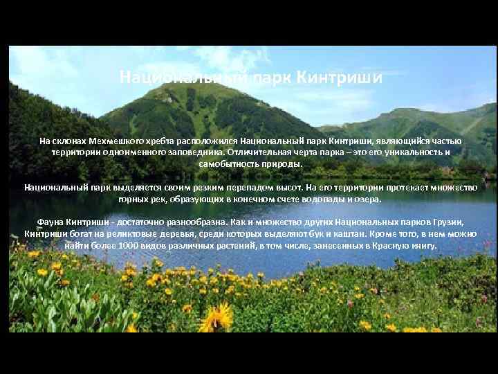 Национальный парк Кинтриши На склонах Мехмешкого хребта расположился Национальный парк Кинтриши, являющийся частью территории