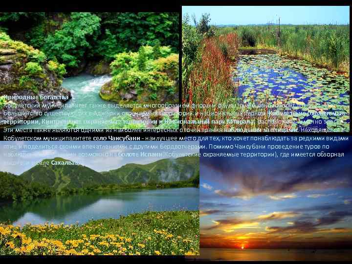 Природные богатства Кобулетский муниципалитет также выделяется многообразием флоры и фауны, о чём ясно говорит