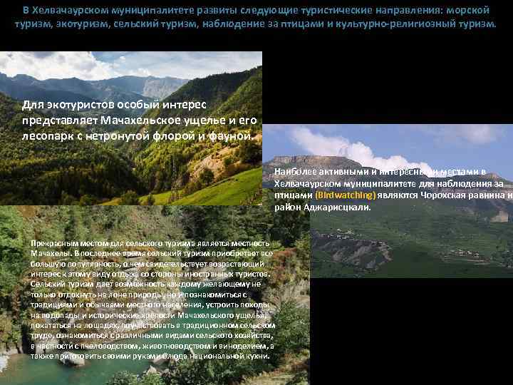 В Хелвачаурском муниципалитете развиты следующие туристические направления: морской туризм, экотуризм, сельский туризм, наблюдение за