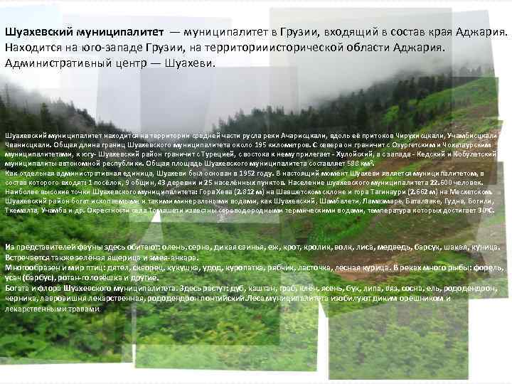 Шуахевский муниципалитет — муниципалитет в Грузии, входящий в состав края Аджария. Находится на юго-западе