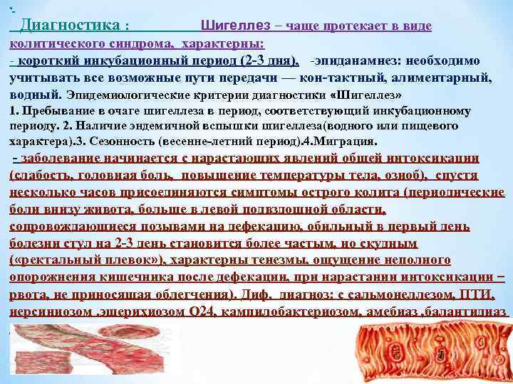  • Диагностика : Шигеллез – чаще протекает в виде колитического синдрома, характерны: -