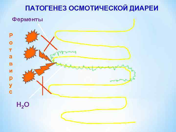 ПАТОГЕНЕЗ ОСМОТИЧЕСКОЙ ДИАРЕИ Ферменты Р о т а в и р у с Н