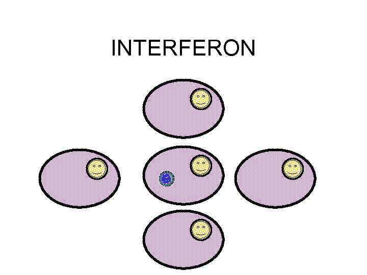 INTERFERON 