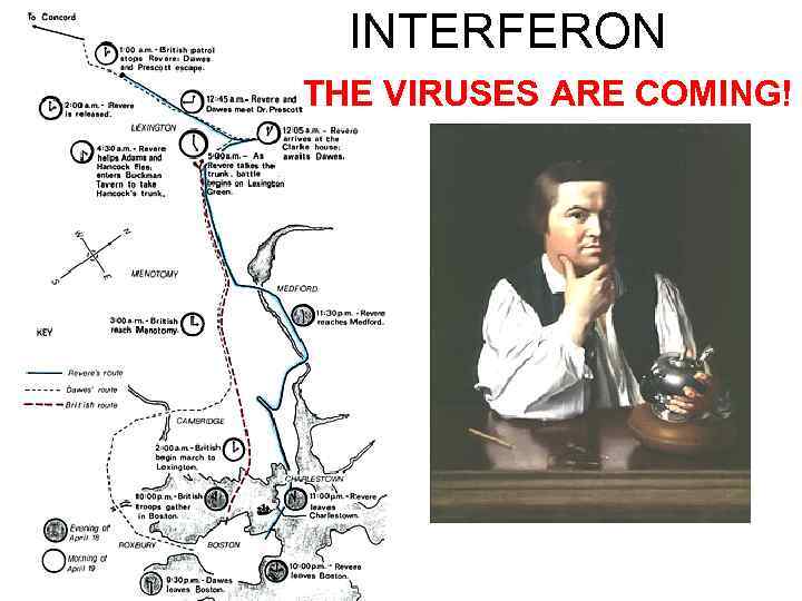 INTERFERON THE VIRUSES ARE COMING! 