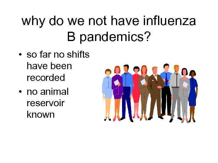 why do we not have influenza B pandemics? • so far no shifts have