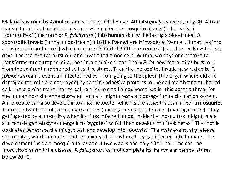 Malaria is carried by Anopheles mosquitoes. Of the over 400 Anopheles species, only 30–