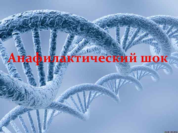 Анафилактический шок 