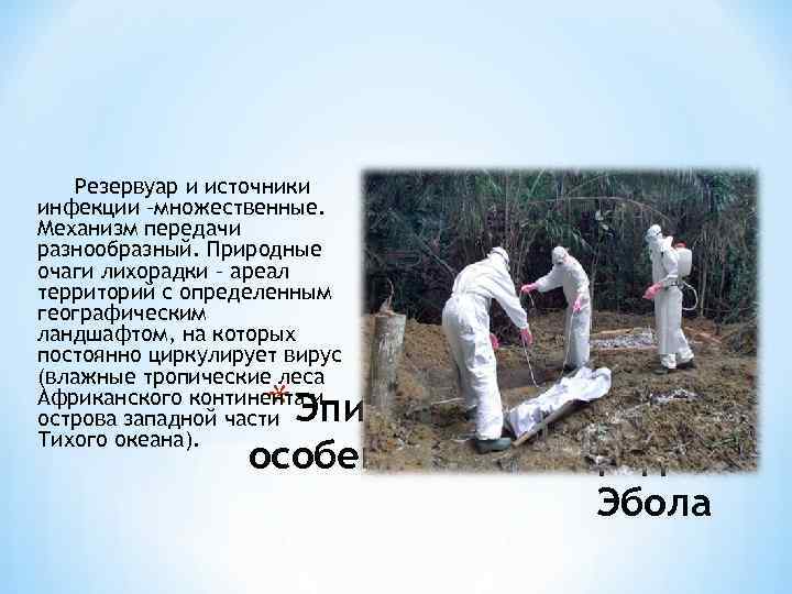 Резервуар и источники инфекции –множественные. Механизм передачи разнообразный. Природные очаги лихорадки – ареал территорий