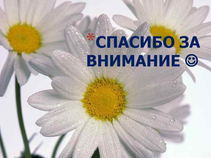*СПАСИБО ЗА ВНИМАНИЕ 