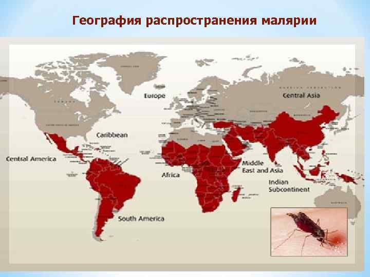 География распространения малярии 