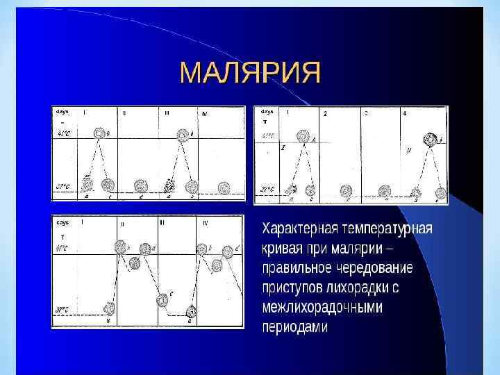  Лихорадка наблюдается в момент выхода мерозоитов из разрушенных эритроцитов; ► интервалы между проявлениями