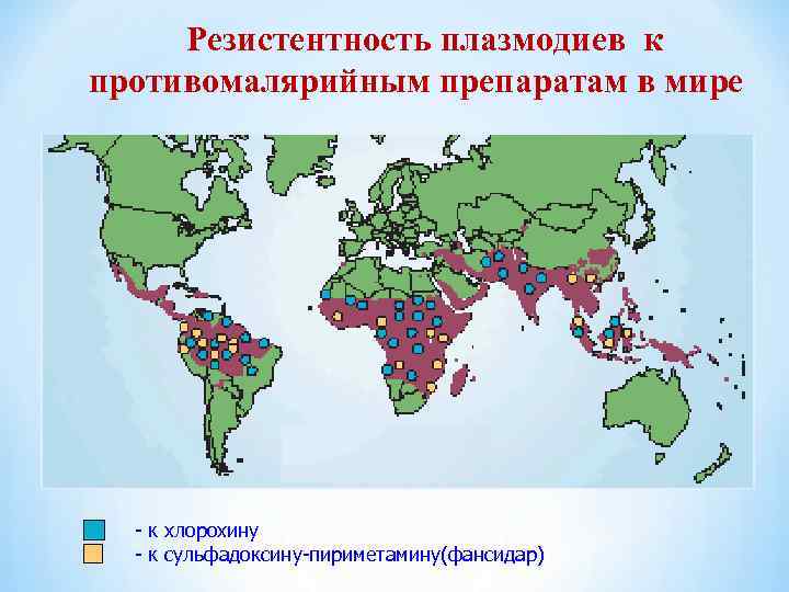 Резистентность плазмодиев к противомалярийным препаратам в мире - к хлорохину - к сульфадоксину-пириметамину(фансидар) 