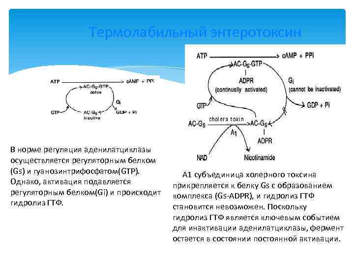 Инфекционно токсический шок карта вызова