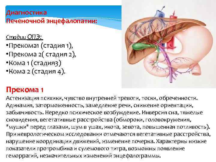 Диагностика Печеночной энцефалопатии: Стадии ОПЭ: • Прекома 1 (стадия 1), • Прекома 2( стадия
