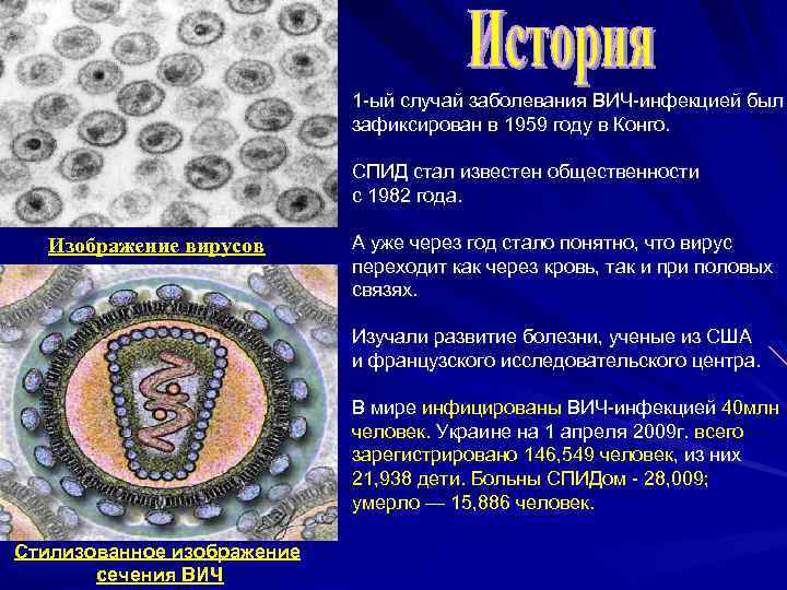 1 -ый случай заболевания ВИЧ-инфекцией был зафиксирован в 1959 году в Конго. СПИД стал