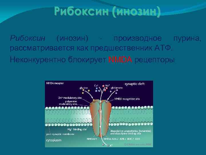 Рибоксин (инозин) - производное пурина, рассматривается как предшественник АТФ. Неконкурентно блокирует NMDA рецепторы 