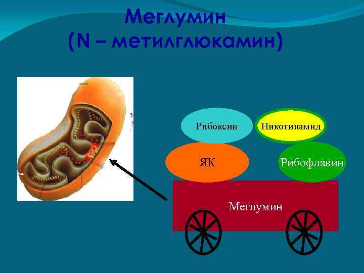 Меглумин (N – метилглюкамин) Рибоксин ЯК Никотинамид Рибофлавин Меглумин 