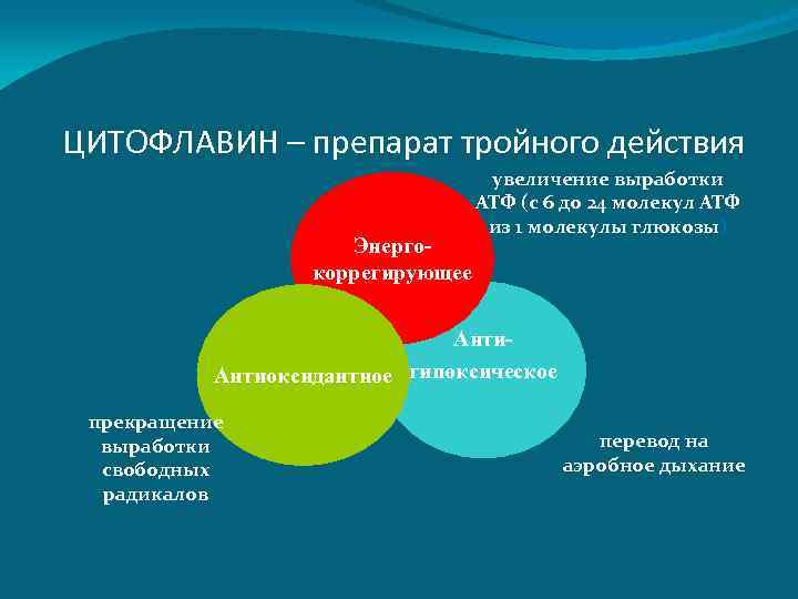 ЦИТОФЛАВИН – препарат тройного действия Энергокоррегирующее увеличение выработки АТФ (с 6 до 24 молекул