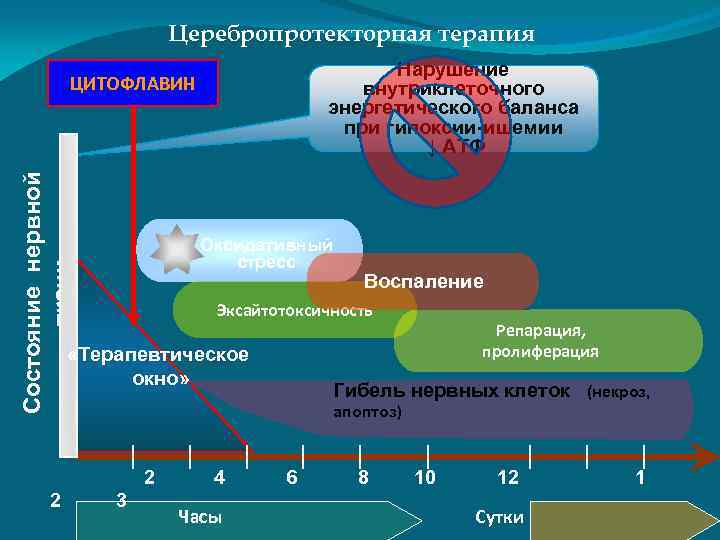 Церебропротекторная терапия Нарушение внутриклеточного энергетического баланса при гипоксии-ишемии ↓ АТФ Состояние нервной ткани ЦИТОФЛАВИН