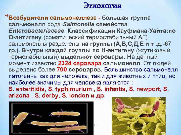 Этиология *Возбудители сальмонеллеза - большая группа сальмонелл рода Salmonella семейства Enterobacteriaceae. Классификация Кауфмана-Уайта: по