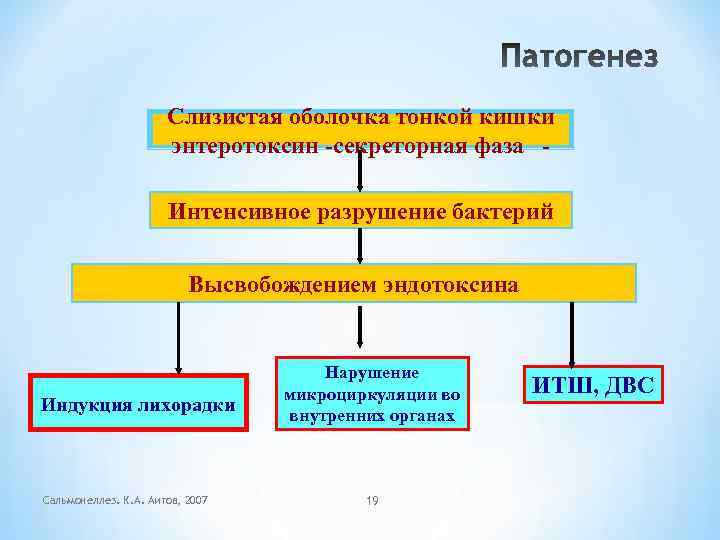 Слизистая оболочка тонкой кишки энтеротоксин -секреторная фаза Интенсивное разрушение бактерий Высвобождением эндотоксина Индукция лихорадки