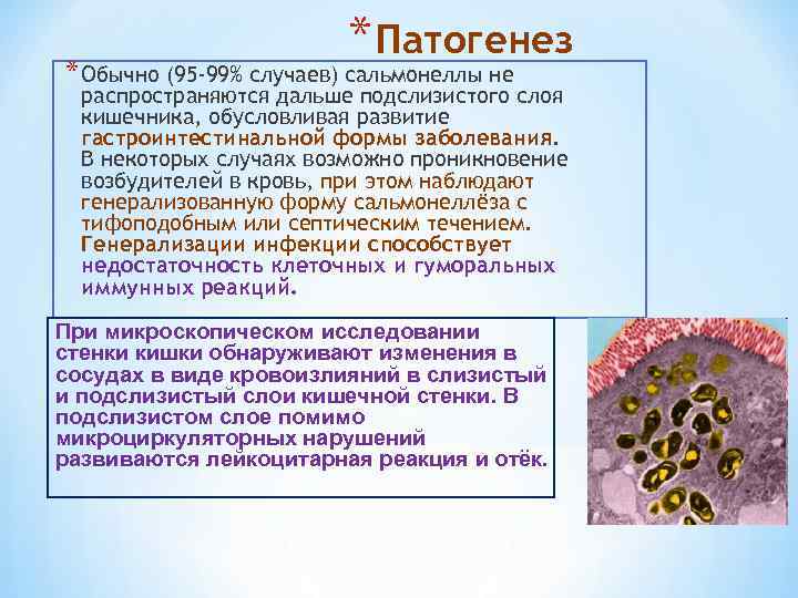 * Патогенез * Обычно (95 -99% случаев) сальмонеллы не распространяются дальше подслизистого слоя кишечника,