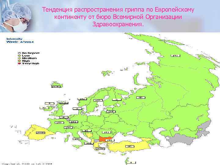 Тенденция распространения гриппа по Европейскому континенту от бюро Всемирной Организации Здравоохранения. 