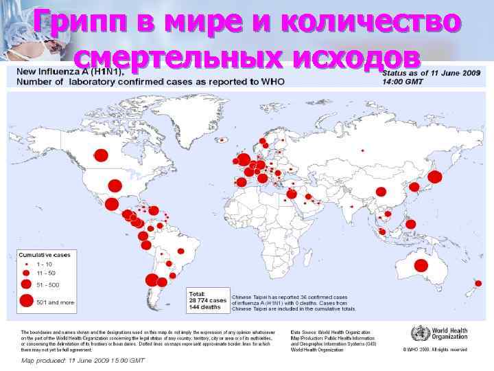 Грипп в мире и количество смертельных исходов 