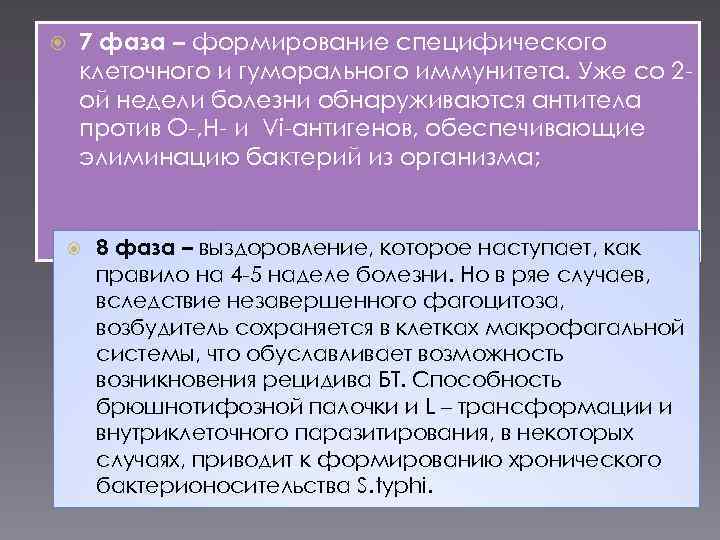  7 фаза – формирование специфического клеточного и гуморального иммунитета. Уже со 2 ой