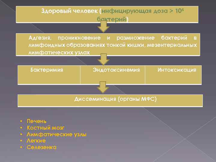 Здоровый человек (инфицирующая доза > 105 бактерий) Адгезия, проникновение и размножение бактерий в лимфоидных