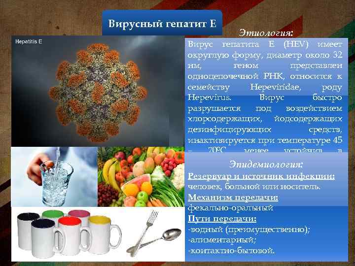 Вирусный гепатит Е Этиология: Вирус гепатита Е (HEV) имеет округлую форму, диаметр около 32