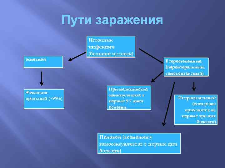 Пути заражения основной Фекальнооральный (~95%) Источник инфекции (больной человек) Второстепенные, (парентеральный, гемоконтактный) При медицинских