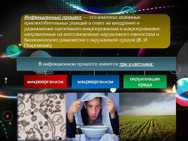 Инфекционный процесс — это комплекс взаимных приспособительных реакций в ответ на внедрение и размножение