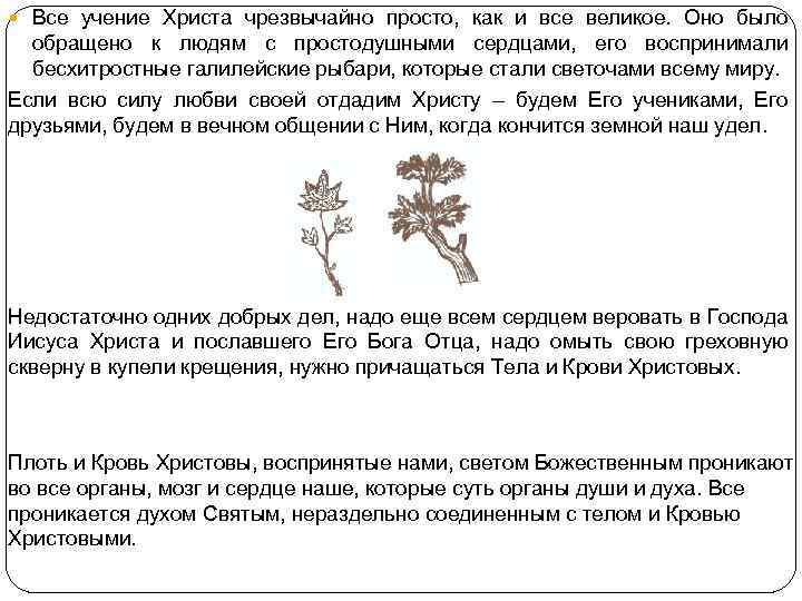  Все учение Христа чрезвычайно просто, как и все великое. Оно было обращено к