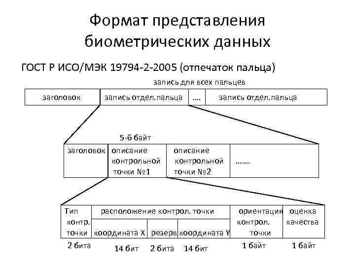 Формат представления биометрических данных ГОСТ Р ИСО/МЭК 19794 -2 -2005 (отпечаток пальца) запись для