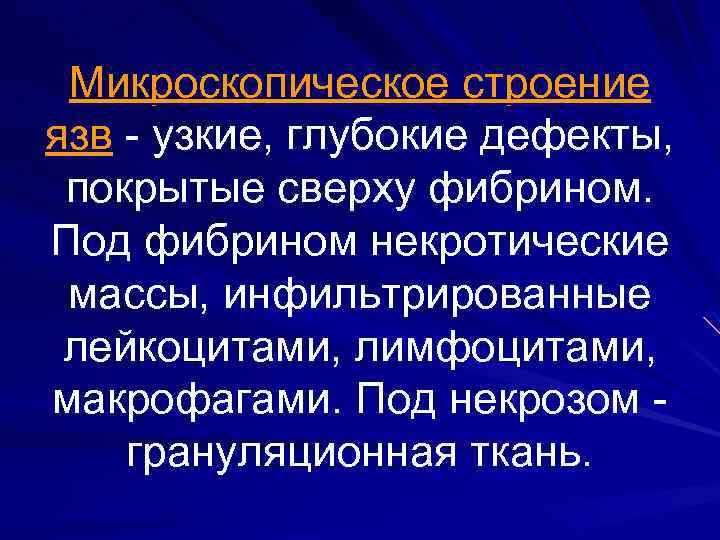 Микроскопическое строение язв - узкие, глубокие дефекты, покрытые сверху фибрином. Под фибрином некротические массы,