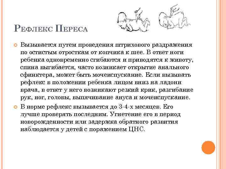 РЕФЛЕКС ПЕРЕСА Вызывается путем проведения штрихового раздражения по остистым отросткам от копчика к шее.