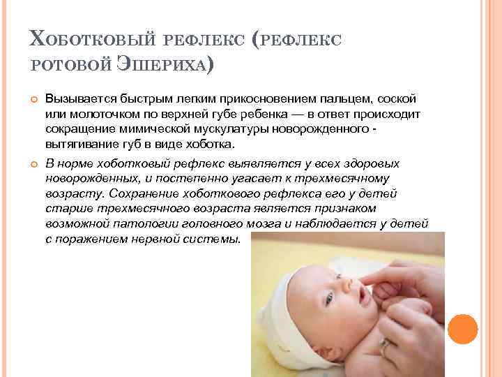ХОБОТКОВЫЙ РЕФЛЕКС (РЕФЛЕКС РОТОВОЙ ЭШЕРИХА) Вызывается быстрым легким прикосновением пальцем, соской или молоточком по