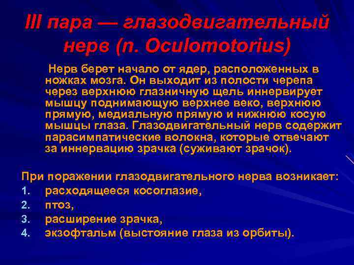 III пара — глазодвигательный нерв (n. Оculomotorius) Нерв берет начало от ядер, расположенных в