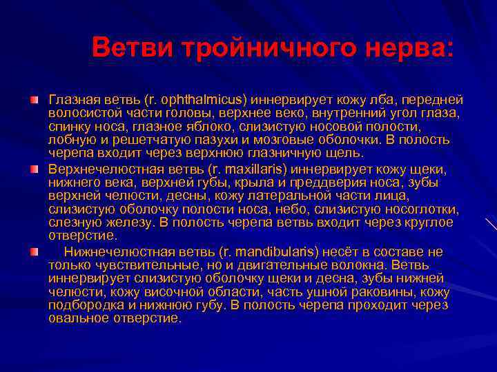 Ветви тройничного нерва: Глазная ветвь (r. ophthalmicus) иннервирует кожу лба, передней волосистой части головы,