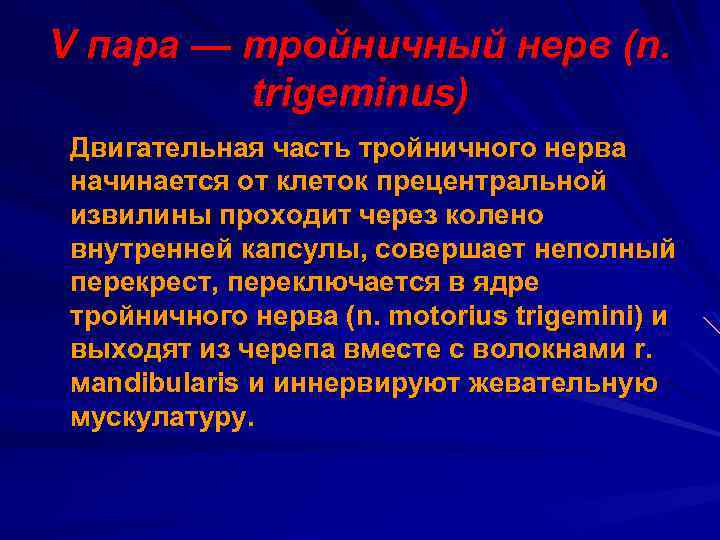 V пара — тройничный нерв (n. trigeminus) Двигательная часть тройничного нерва начинается от клеток