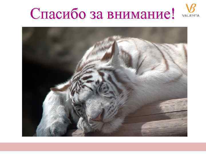 Спасибо за внимание! Тералиджен® – препарат для комплексного устранения соматических и психоэмоциональных проблем пациентов