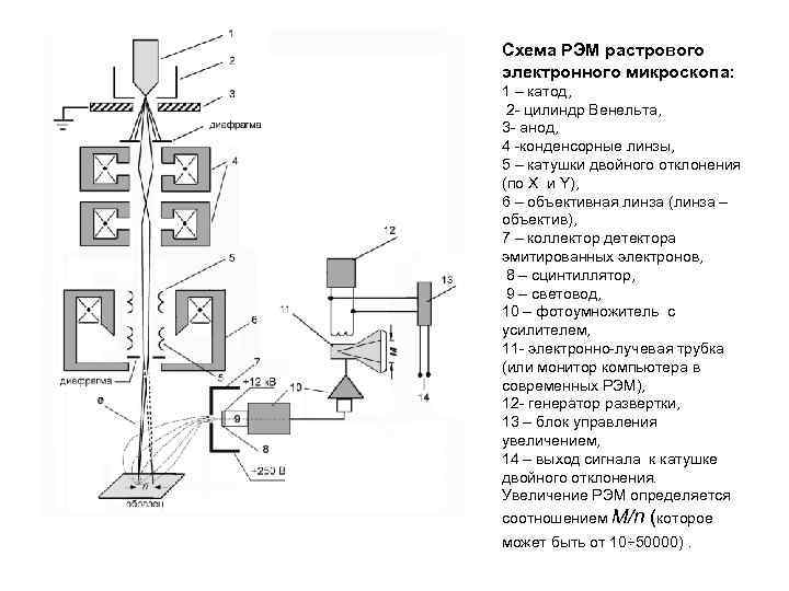 Принципиальная схема растрового сканирующего электронного микроскопа при работе в режиме рма