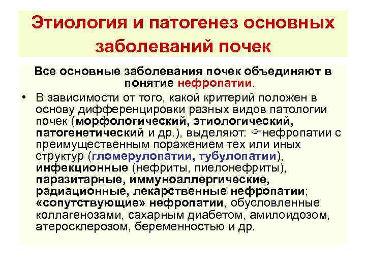 Этиология и патогенез основных заболеваний почек Все основные заболевания почек объединяют в понятие нефропатии.