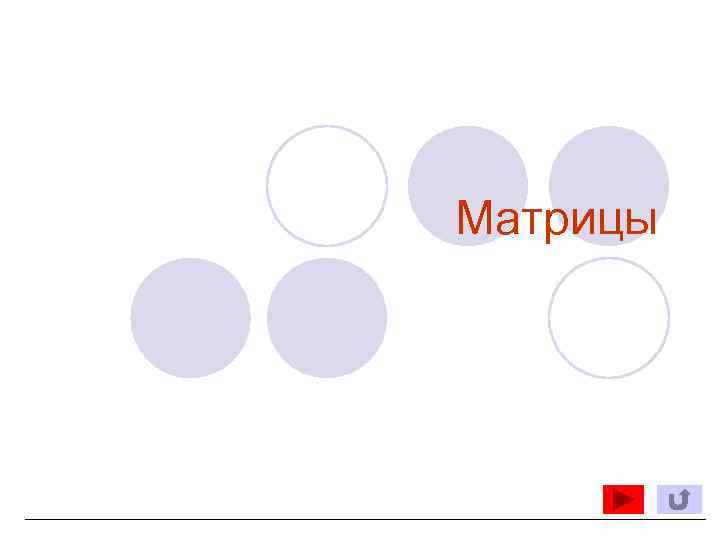 Матрицы 