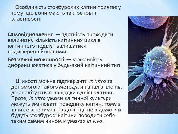  Особливість стовбурових клітин полягає у тому, що вони мають такі основні властивості: Самовідновлення
